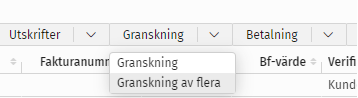 GranskningAvFlera.png