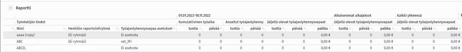 Ty_ajanlyhennysraportti.JPG3.JPG